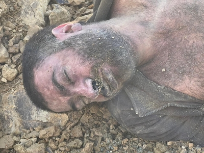 Iraq: 9 ISIS pigs were killed a few days ago by an air strike.