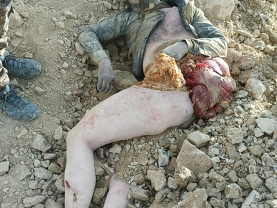 Iraq: 9 ISIS pigs were killed a few days ago by an air strike.